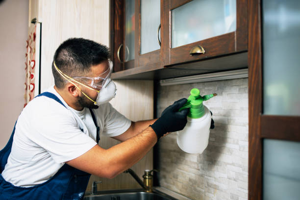 Pest Control for Restaurants in Des Plaines, IL