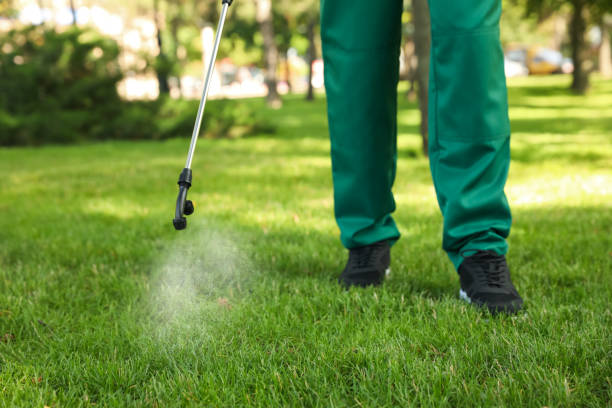 Best Spider Control Near Me  in Des Plaines, IL