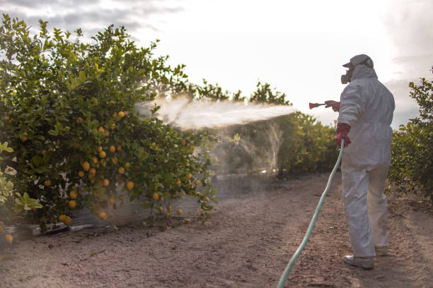 Best Cockroach Control Services  in Des Plaines, IL
