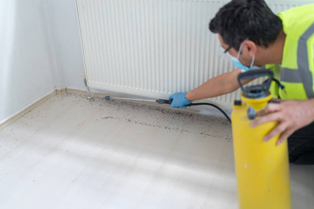 Pest Control for Restaurants in Des Plaines, IL